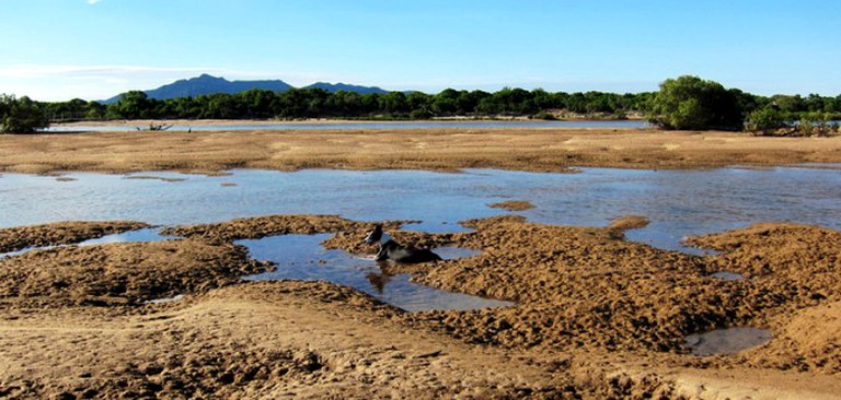 Cottages (Guthalungra, Queensland, Australia)