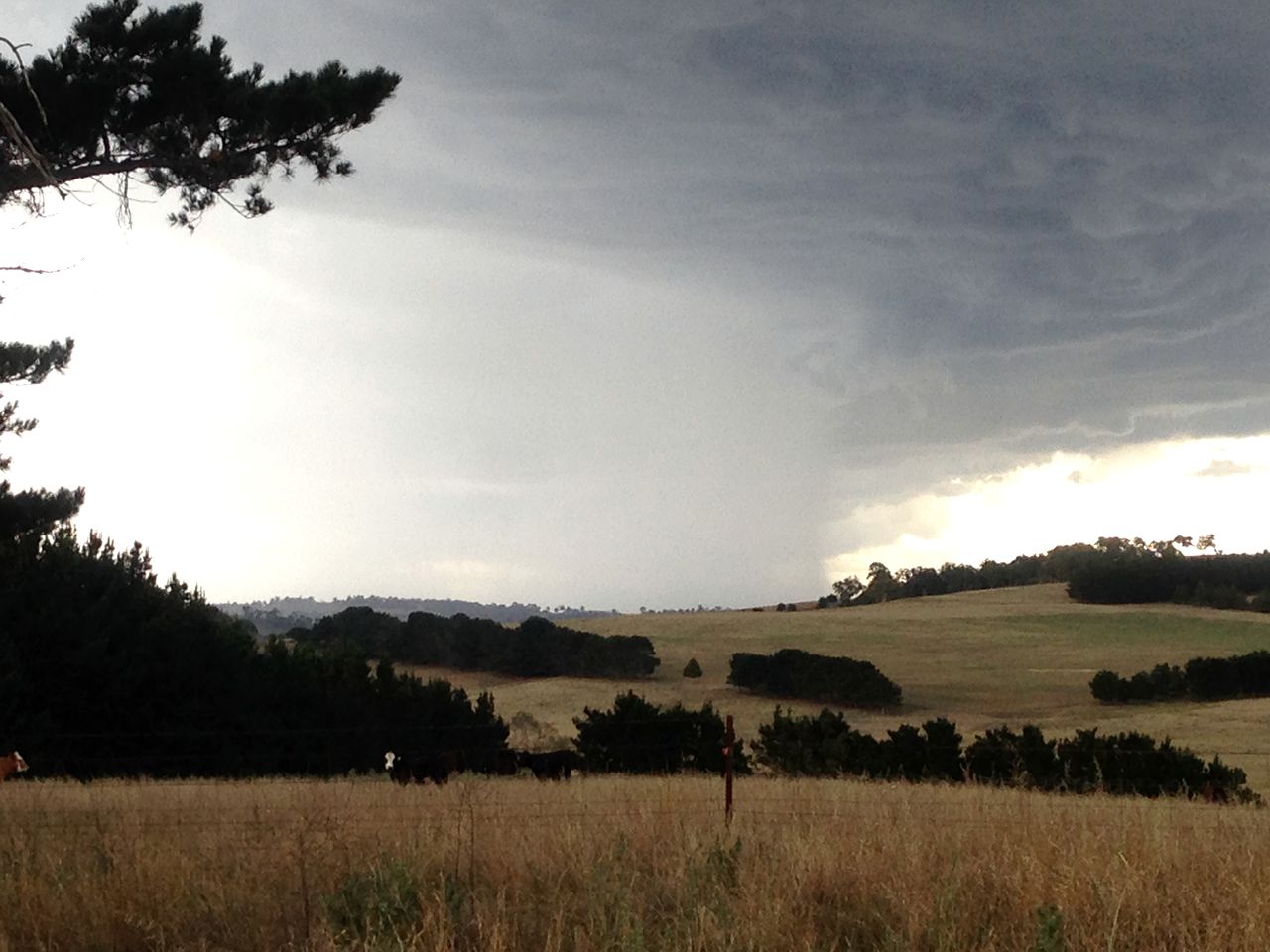 Private Accommodation with Delicious Breakfast in Walcha, New South Wales