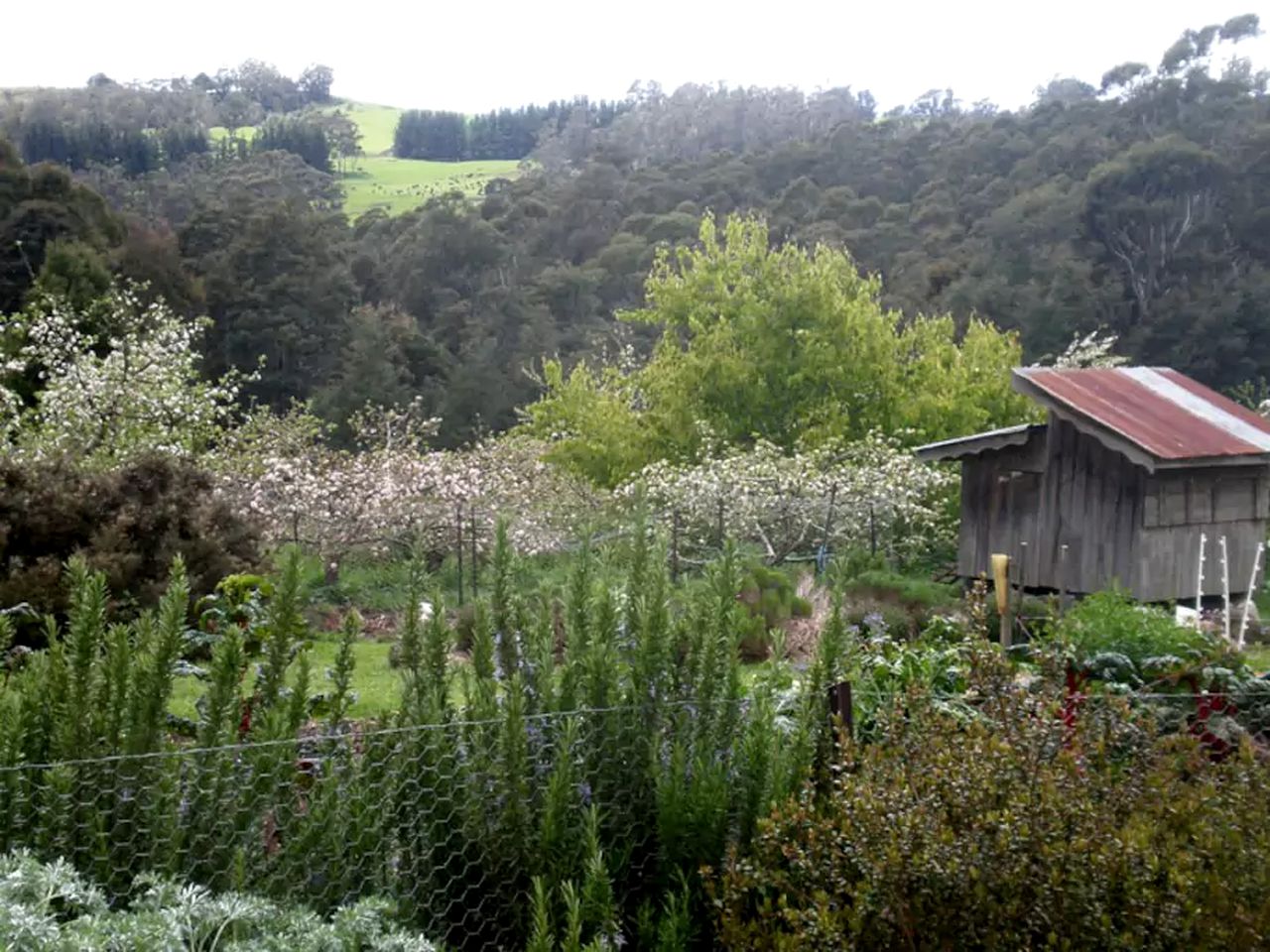 Charming Eco-Holiday Farm and Cottage Retreat in Tasmania, Australia