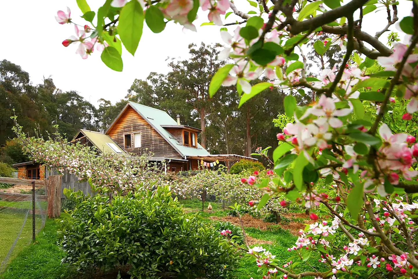 Charming Eco-Holiday Farm and Cottage Retreat in Tasmania, Australia