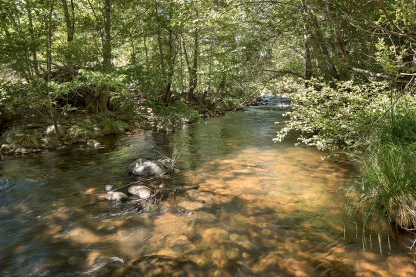 Peaceful Vacation Rental with Private Trail to Creek and Stunning Views for a Fantastic Family Getaway in Sedona, Arizona