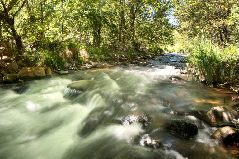 Vacation Rentals (United States of America, Sedona, Arizona)