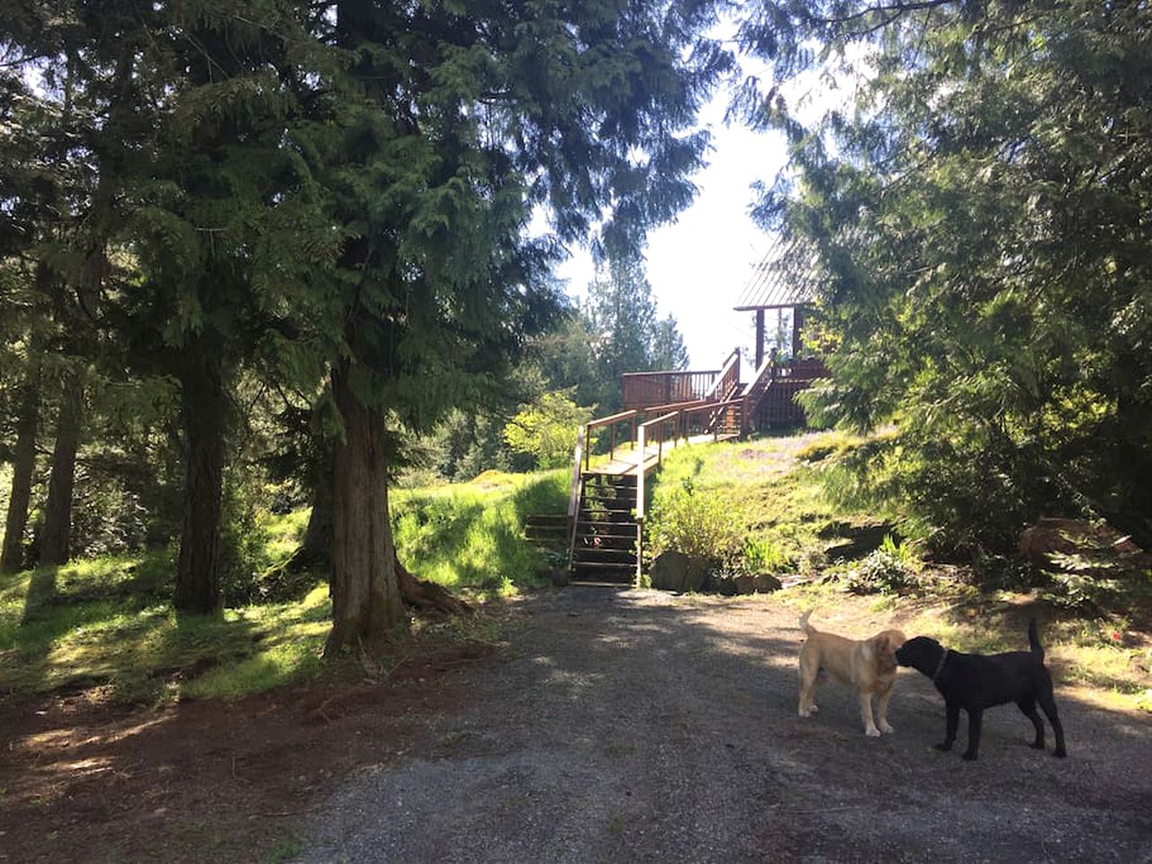 Secluded Cottage with a Salt Water Hot Tub in Westholme, Vancouver Island