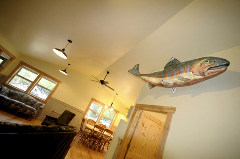 Cabins (Pray, Montana, United States)