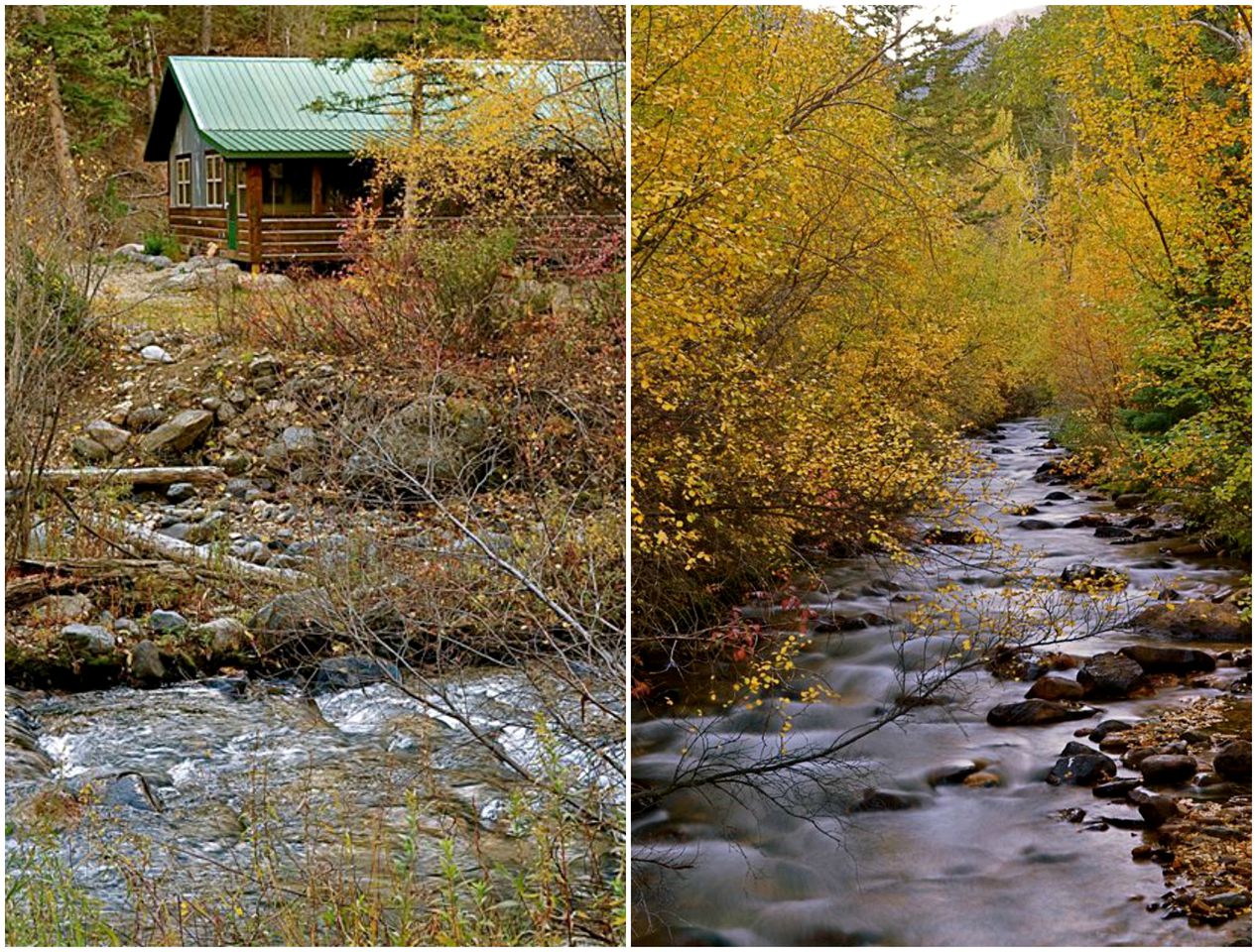 Cozy Camping Cabin in the Trees of Paradise Valley near Pray, Montana