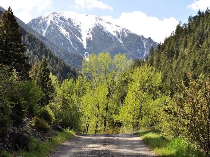 Cabins (Pray, Montana, United States)