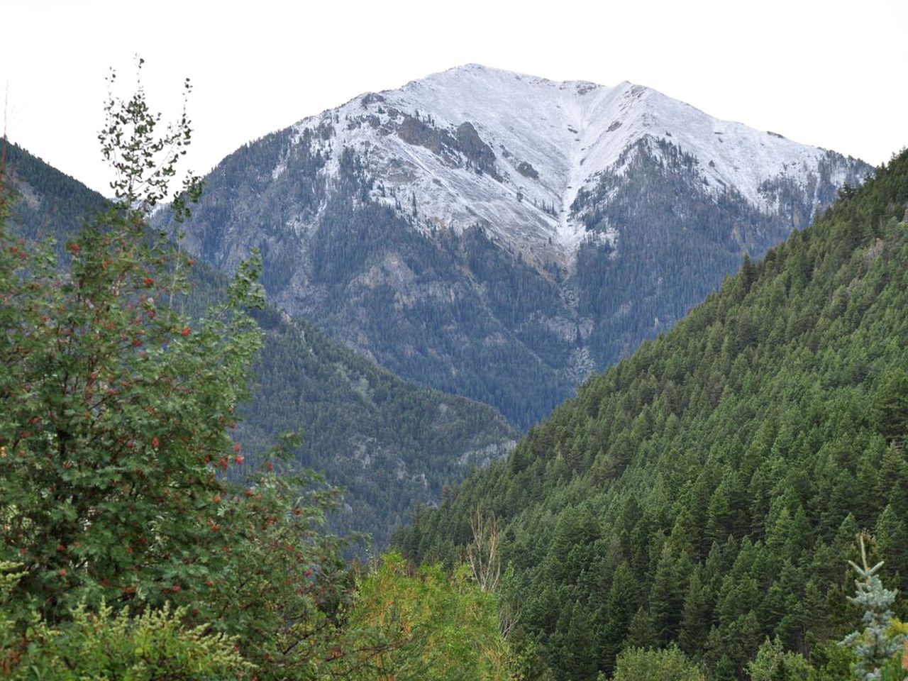 Family Getaway near the Iconic Yellowstone National Park in Montana