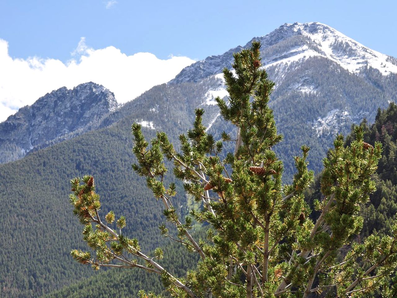 Family Getaway near the Iconic Yellowstone National Park in Montana