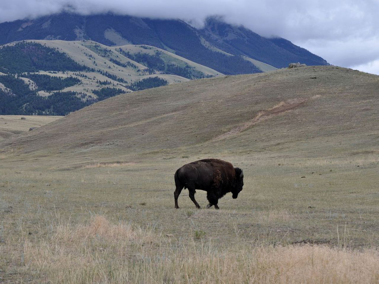 Family Getaway near the Iconic Yellowstone National Park in Montana