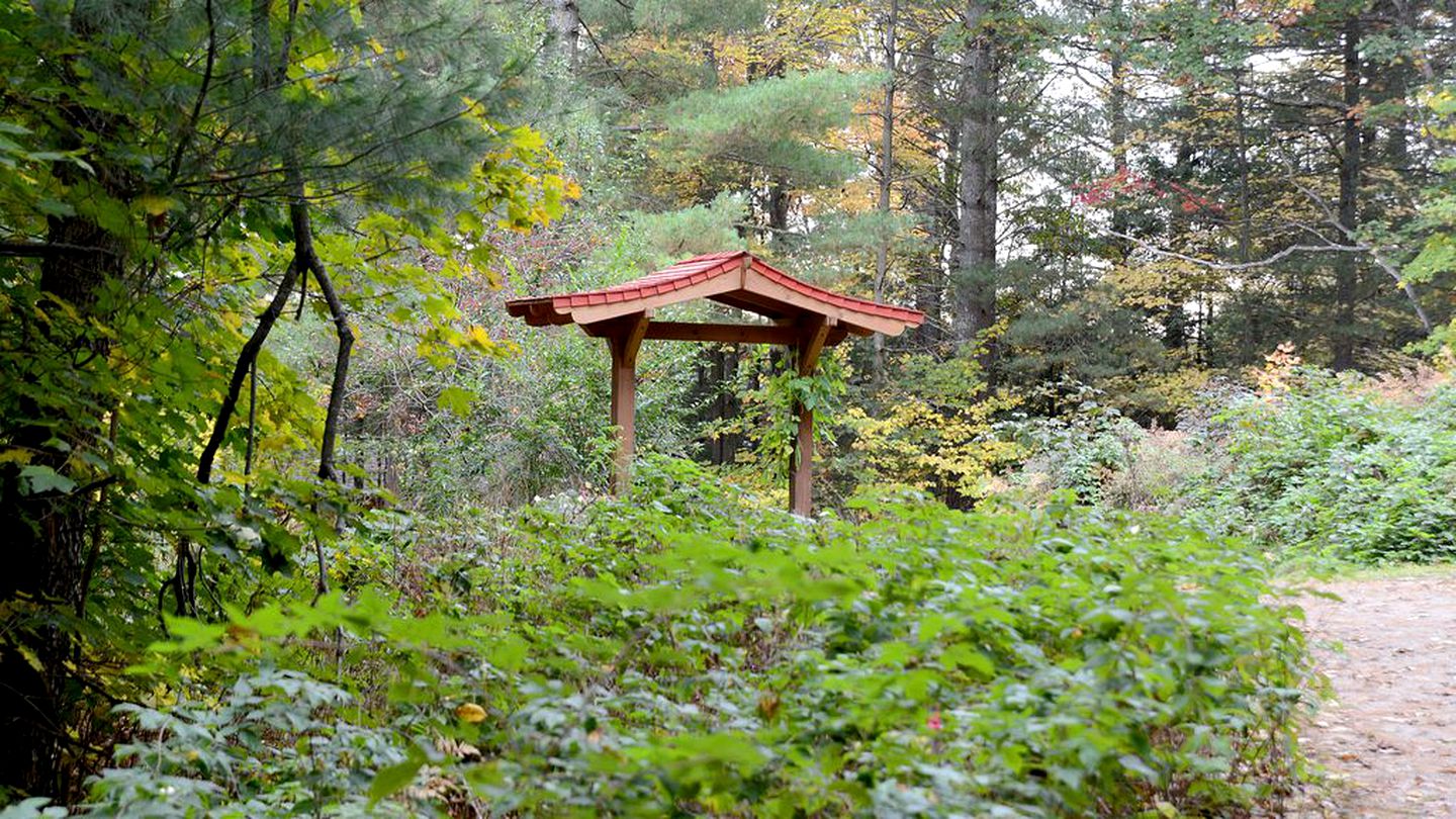 Cozy Lakefront Cabin Rental in the Woodlands of Empire, Michigan