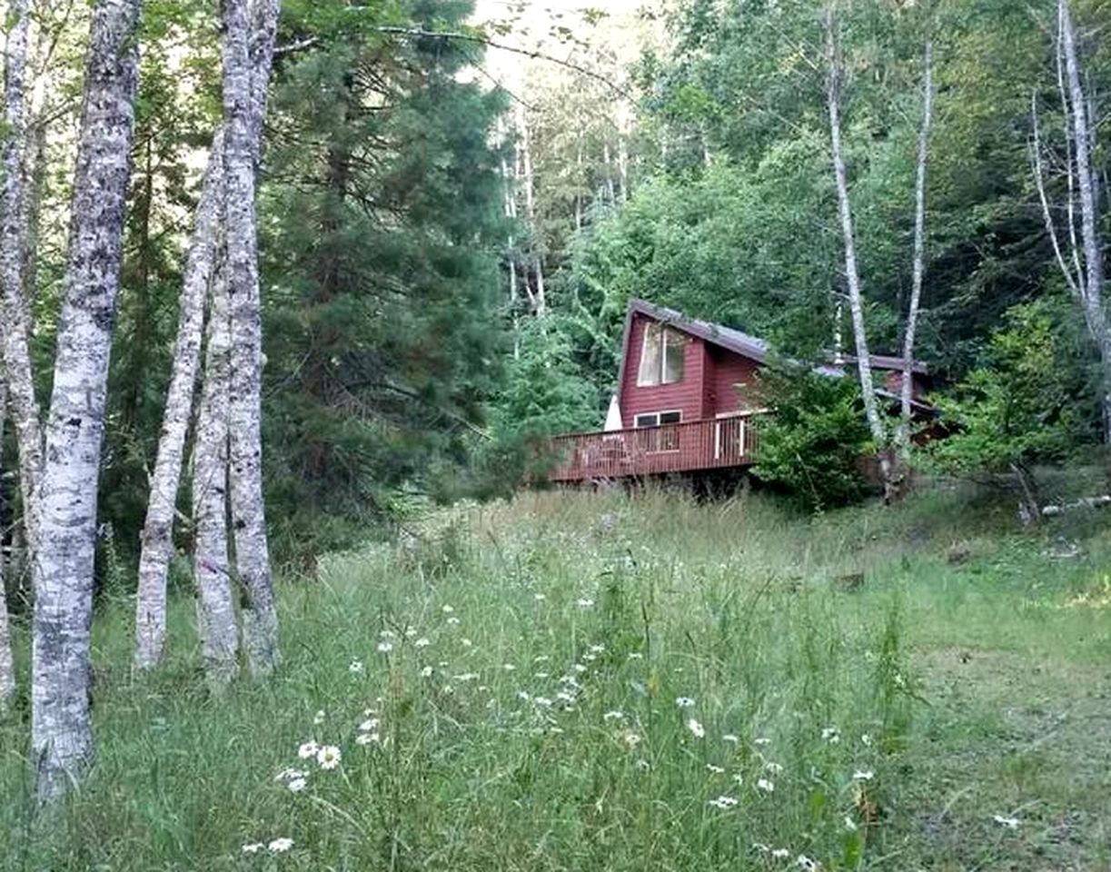 Cozy Forest Cabin for Eight Guests near Olympic National Park in Washington