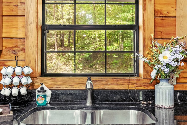 Vacation Rentals (United States of America, Sevierville, Tennessee)