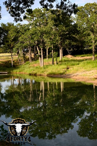 Cabins (United States of America, Alvord, Texas)