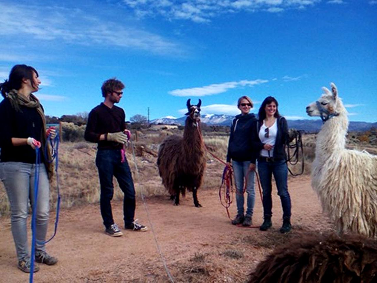 Romantic and Quiet Campervan Rental For Two in New Mexico