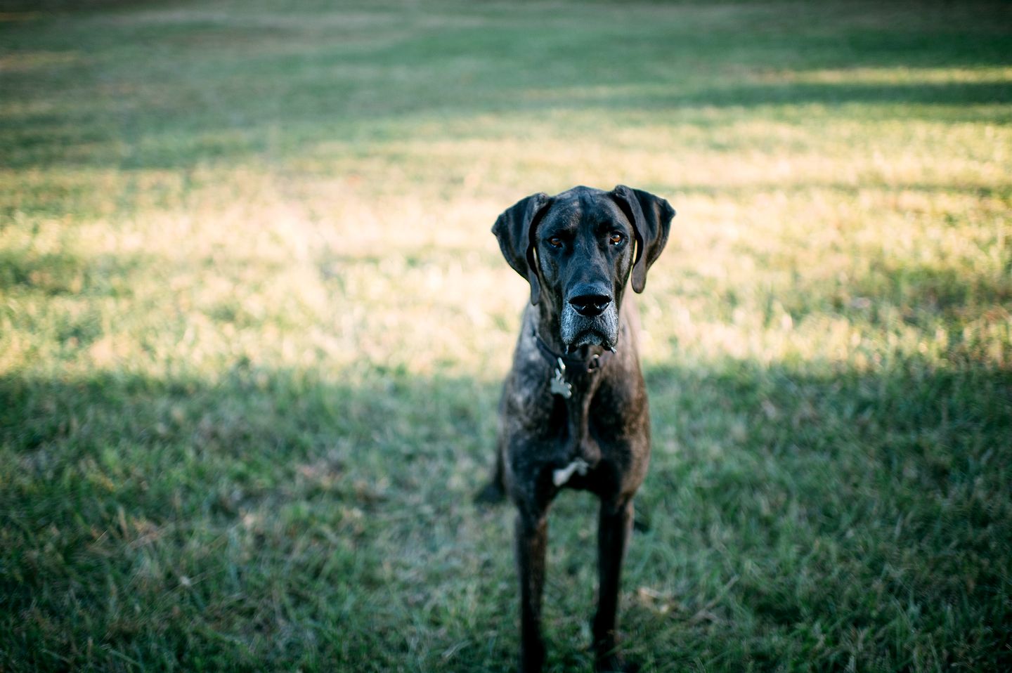 Enchanting A-Frames with Hot-Tub Wonderful for Hiking in Makanda, Illinois