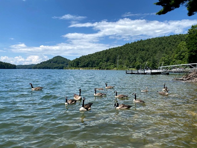 Cabins (United States of America, Glenville, North Carolina)