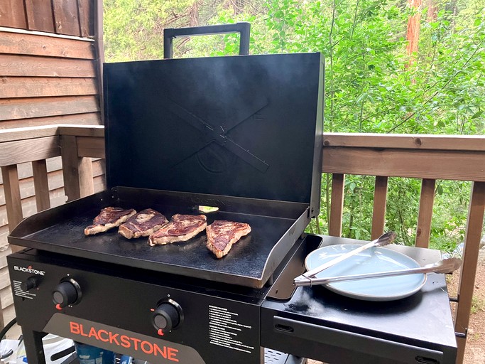 Cabins (United States of America, Oakhurst, California)