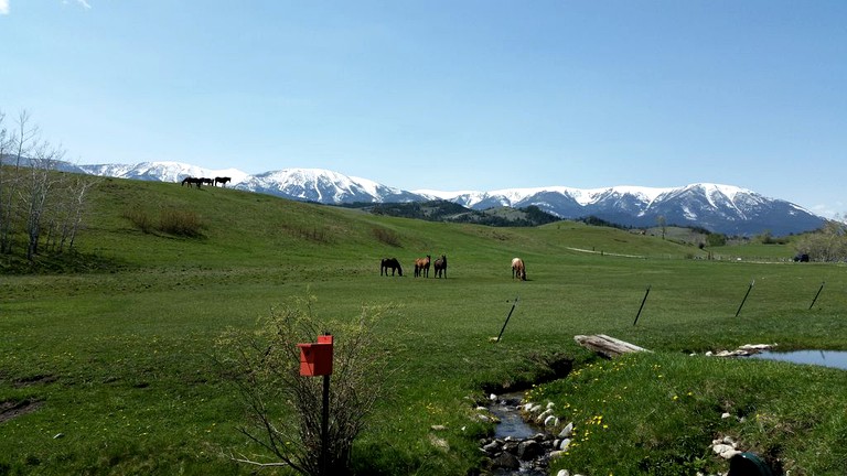 Log Cabins (Red Lodge, Montana, United States)