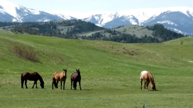 Log Cabins (Red Lodge, Montana, United States)