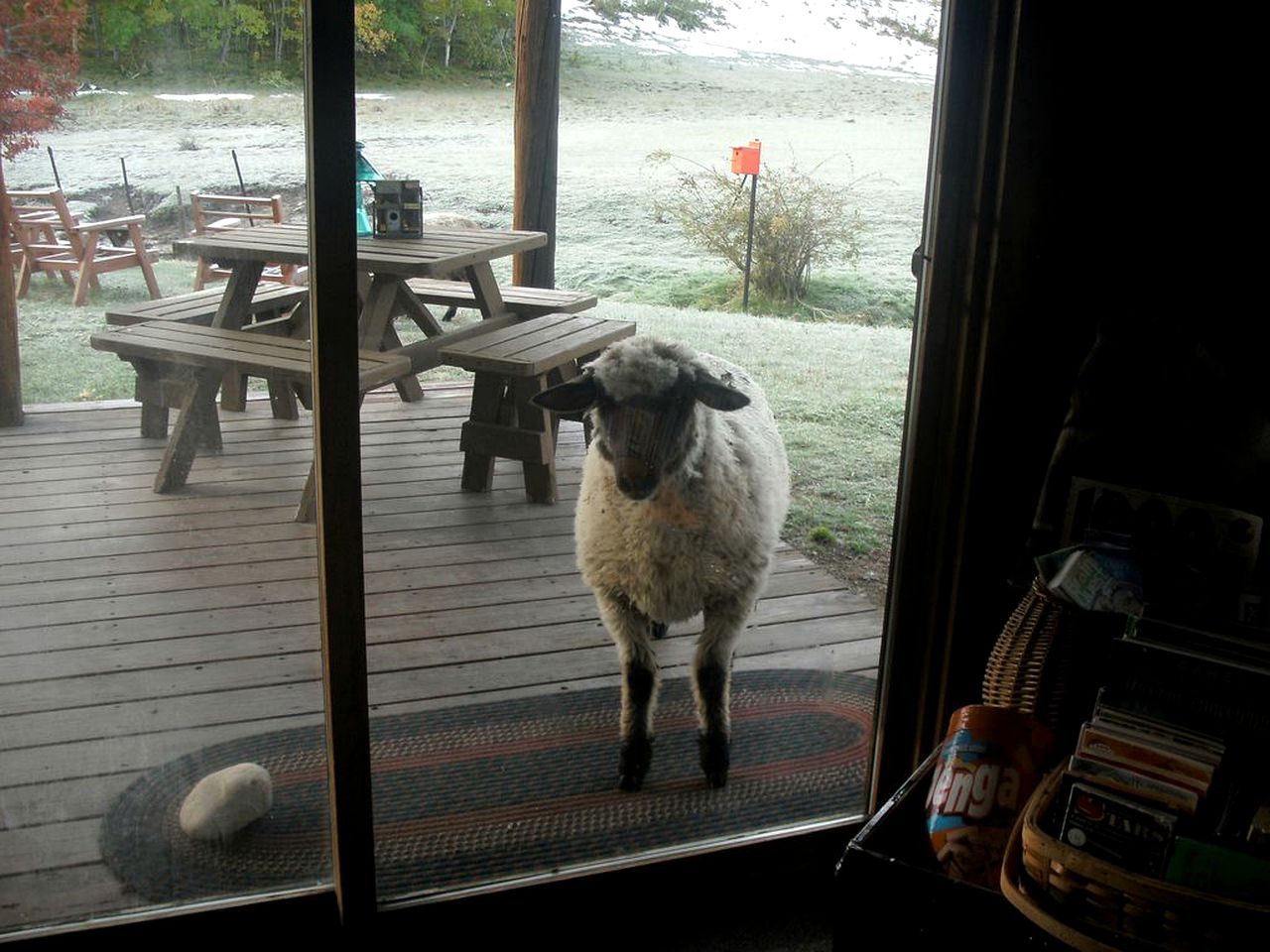 Wonderful Log Cabin with Sublime Views of Beartooth Mountain in Red Lodge, Montana