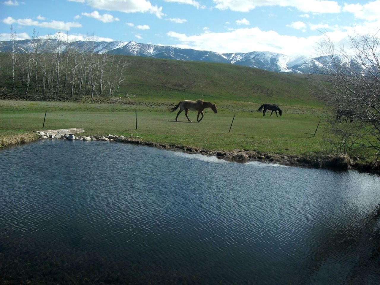 Wonderful Log Cabin with Sublime Views of Beartooth Mountain in Red Lodge, Montana