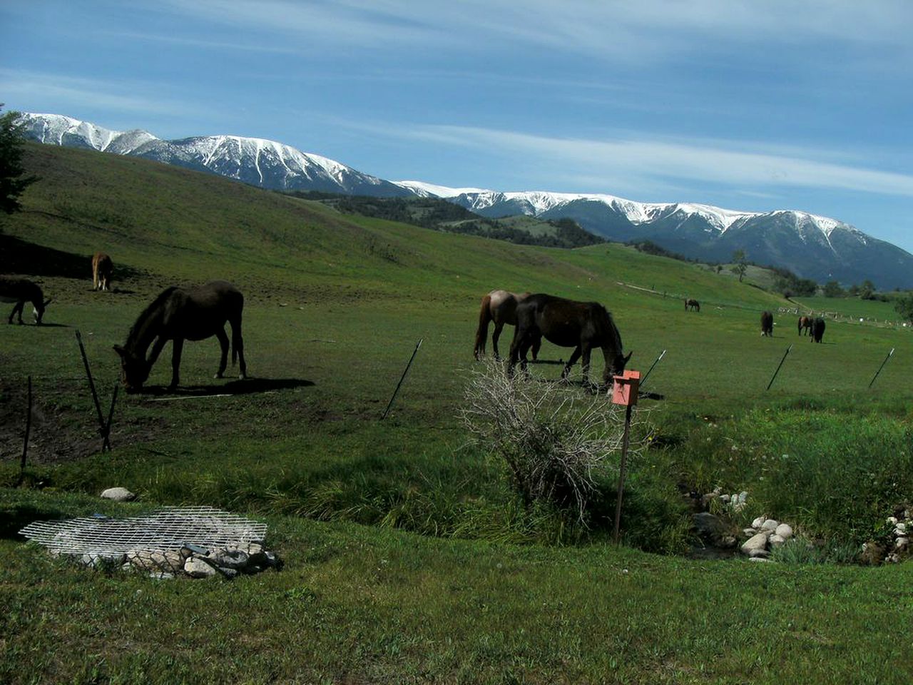 Wonderful Log Cabin with Sublime Views of Beartooth Mountain in Red Lodge, Montana