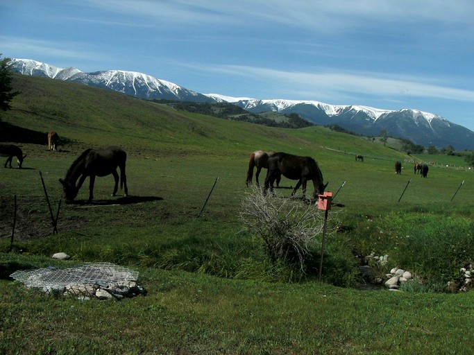 Log Cabins (Red Lodge, Montana, United States)