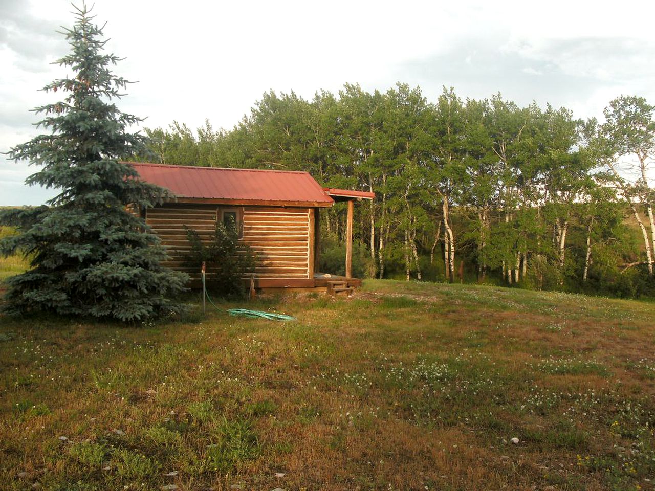 Wonderful Log Cabin with Sublime Views of Beartooth Mountain in Red Lodge, Montana