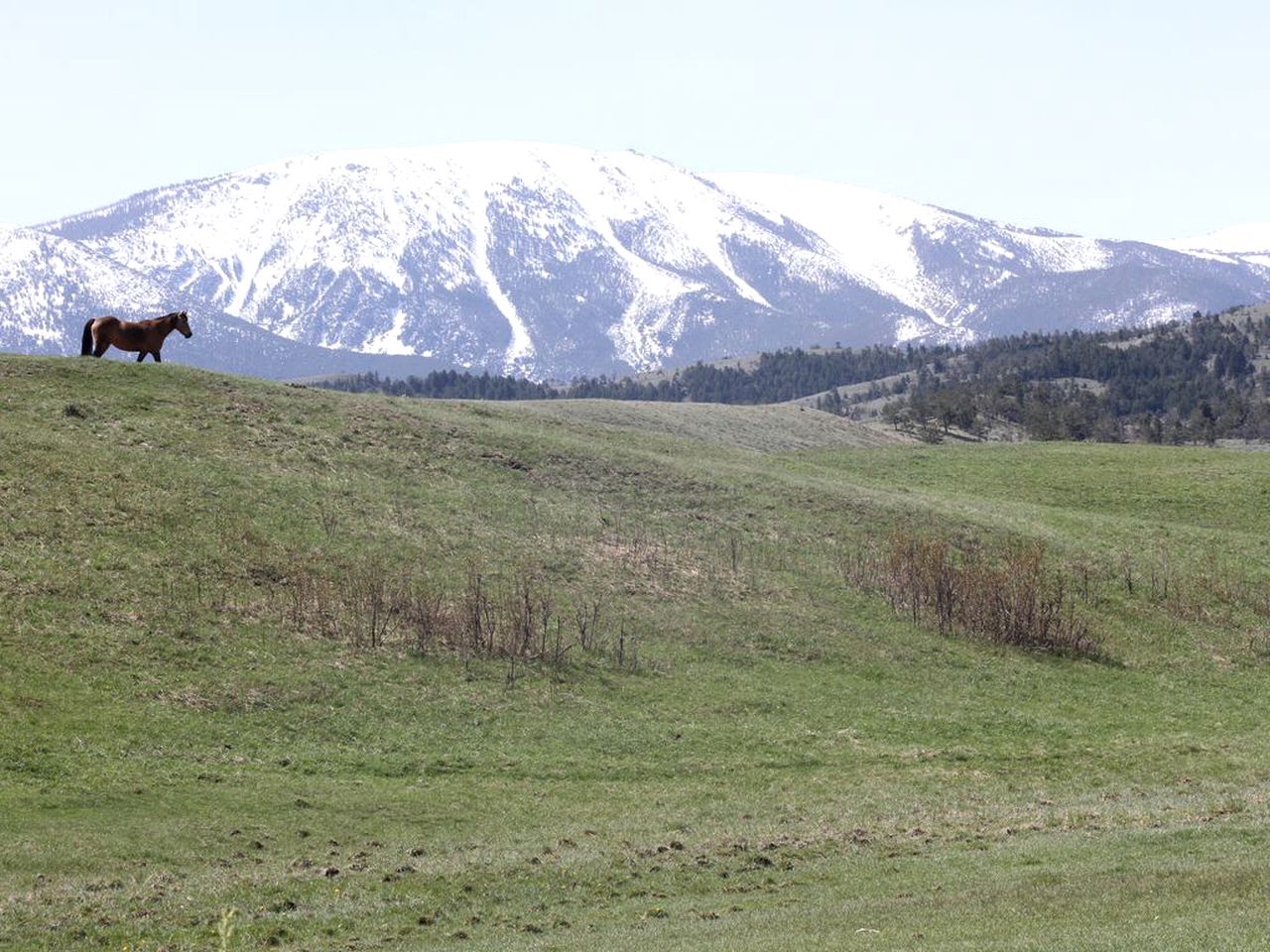 Wonderful Log Cabin with Sublime Views of Beartooth Mountain in Red Lodge, Montana