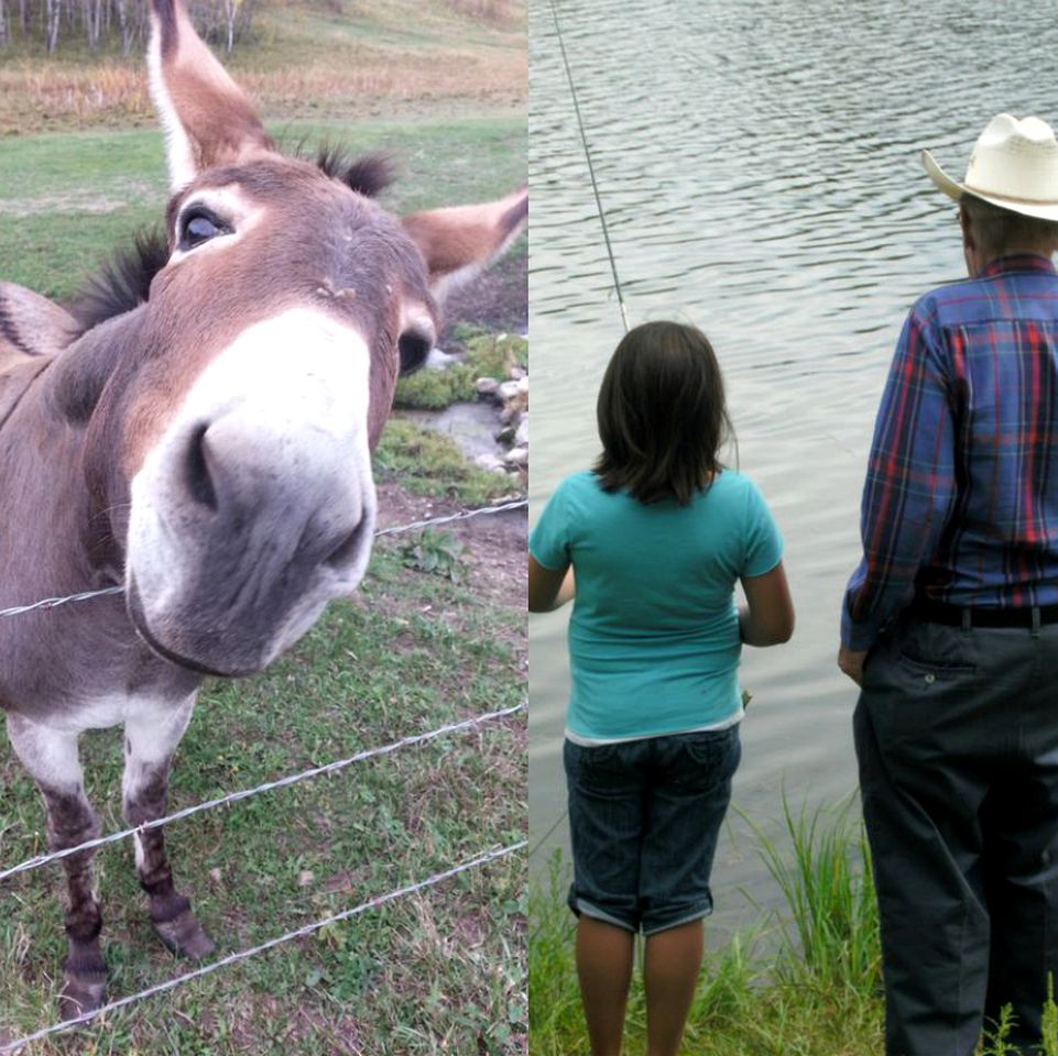 Wonderful Log Cabin with Sublime Views of Beartooth Mountain in Red Lodge, Montana