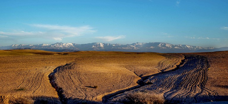 Safari Tents (Marrakesh, Marrakesh-Safi Region, Morocco)