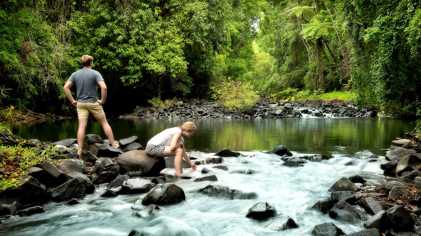 Enchanting Riverside Cabin Rental in the Rainforest near Cairns, Queensland