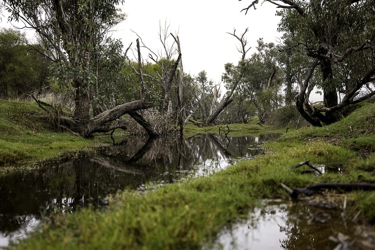 Tiny Houses (Australia, Brookton, Western Australia)