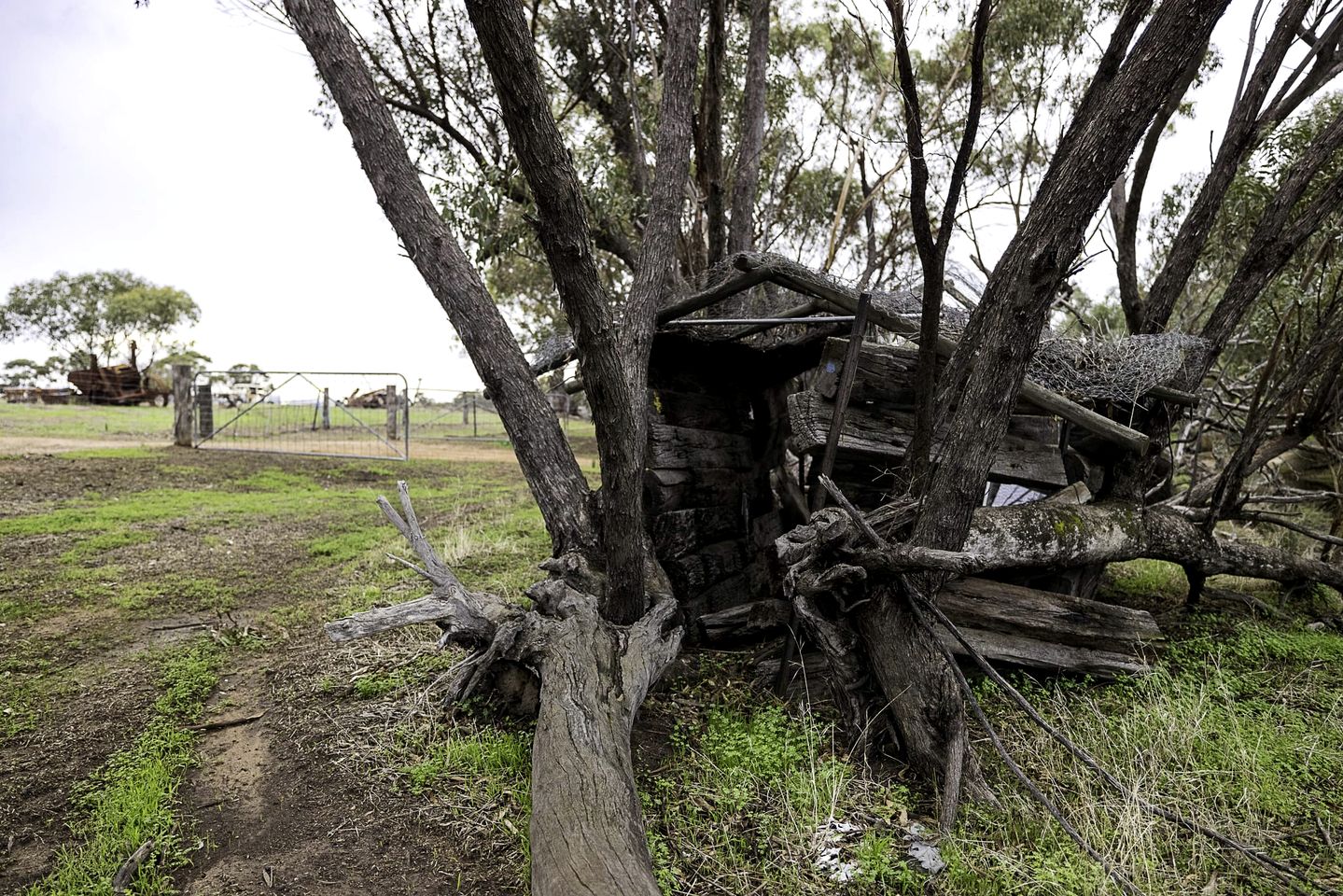 Enchanting Rustic Tiny House with Outdoor Barbecue, Firepit and Abundant Wildlife in Western Australia, Australia