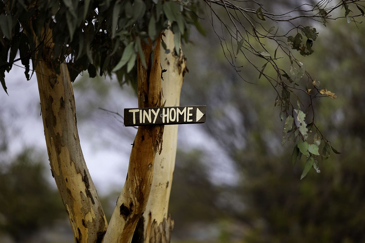 Enchanting Rustic Tiny House with Outdoor Barbecue, Firepit and Abundant Wildlife in Western Australia, Australia