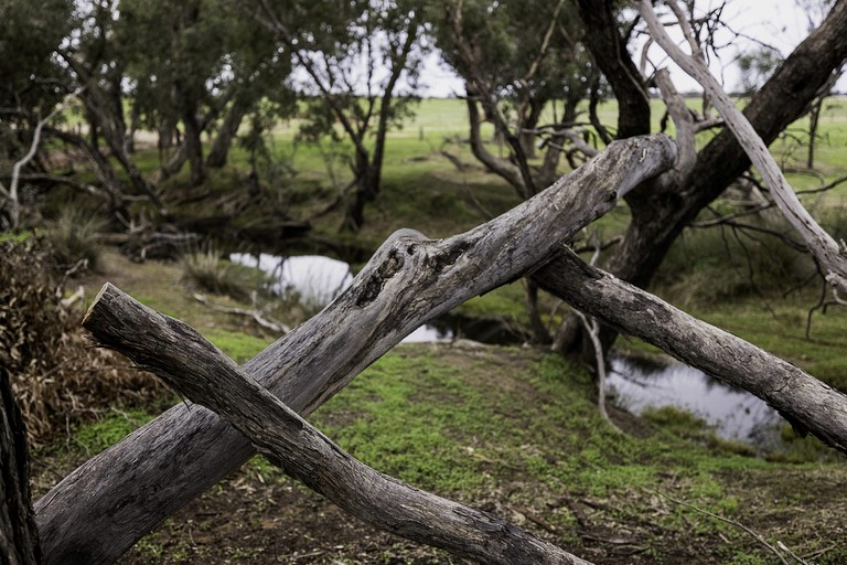 Tiny Houses (Australia, Brookton, Western Australia)