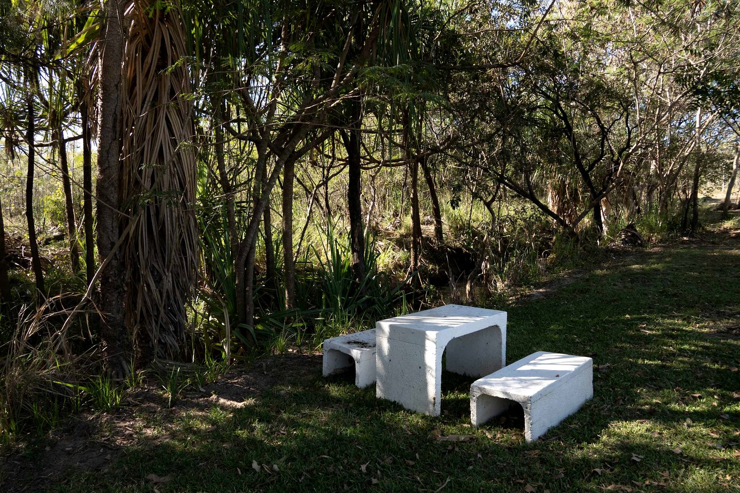 Enchanting Creekfront Tiny House with Stunning Landscape and Wildlife in Queensland, Australia