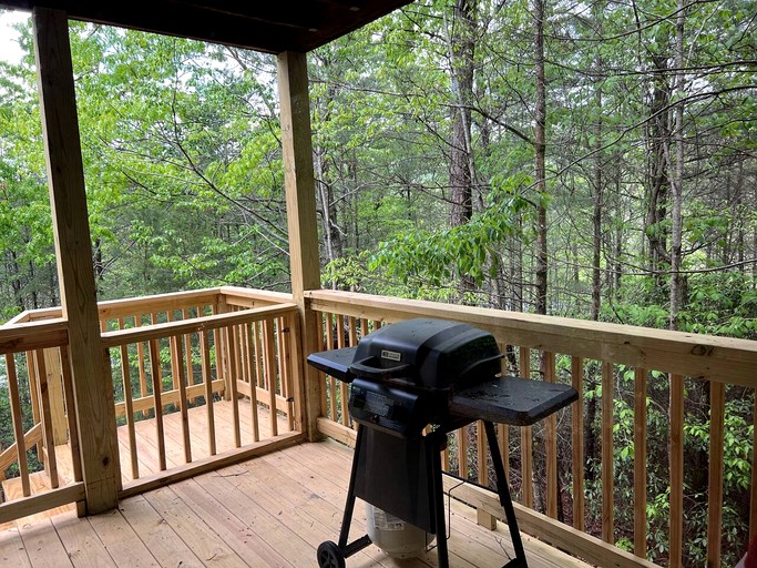 Cabins (United States of America, Sautee Nacoochee, Georgia)