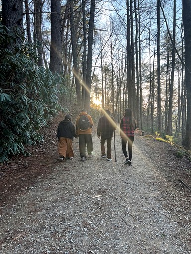 Cabins (United States of America, Sautee Nacoochee, Georgia)