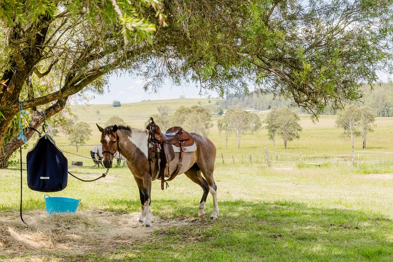 Tiny Houses (Australia, Myrtle Creek, New South Wales)