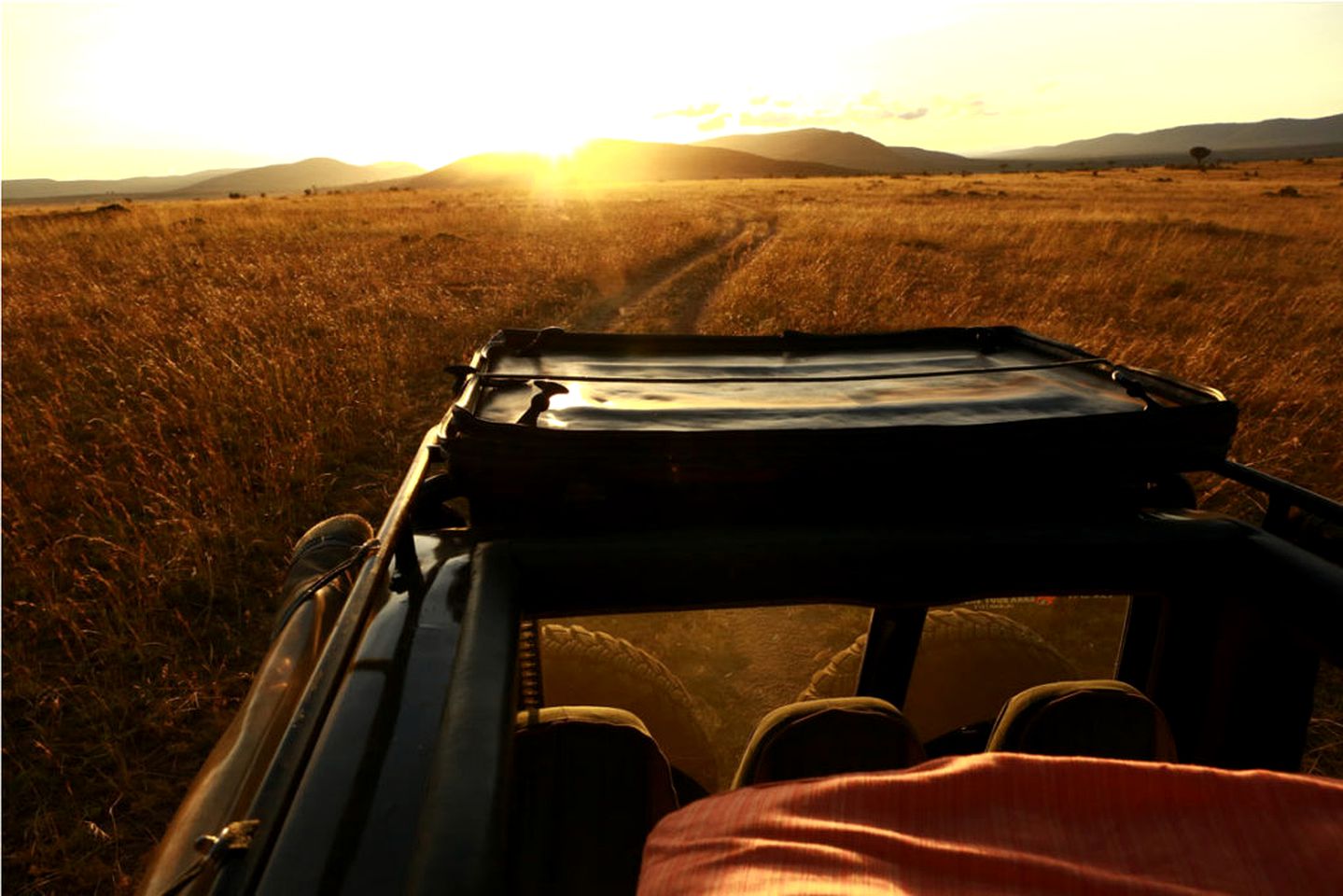 Masai Mara Safari Tent with Great Opportunities to See the Big Five in Kenya