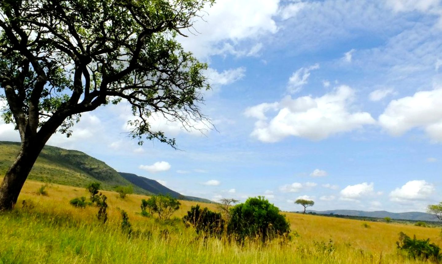 Masai Mara Safari Tent with Great Opportunities to See the Big Five in Kenya