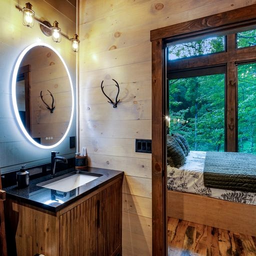 Cabins (United States of America, Cherry Log, Georgia)