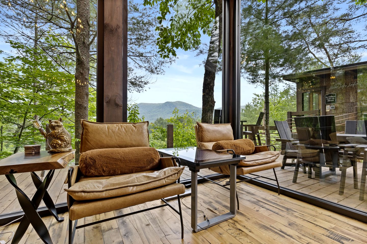 Enormous Cabin Luxury Interior and Game Room in Cherry Log, Georgia
