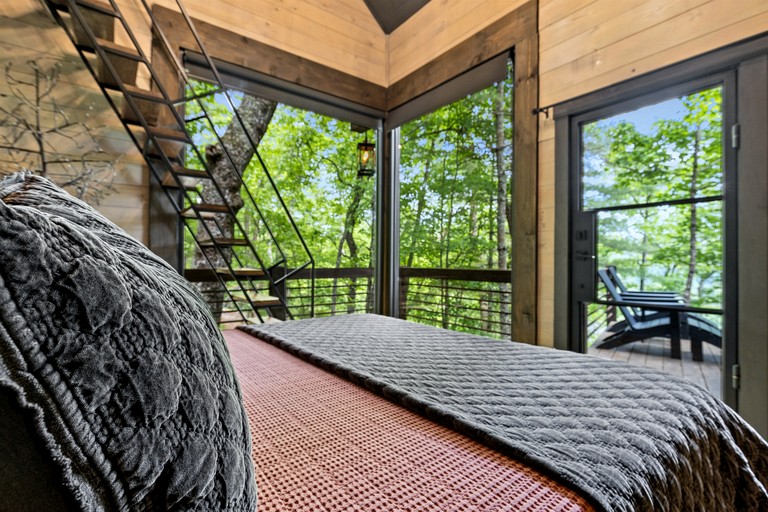 Cabins (United States of America, Cherry Log, Georgia)