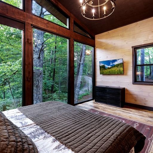 Cabins (United States of America, Cherry Log, Georgia)