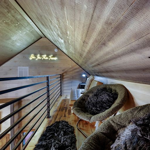 Cabins (United States of America, Cherry Log, Georgia)