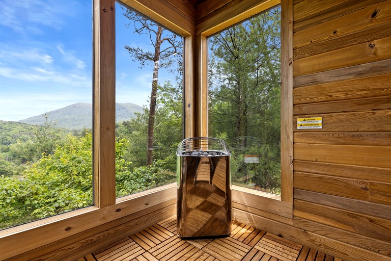 Cabins (United States of America, Cherry Log, Georgia)