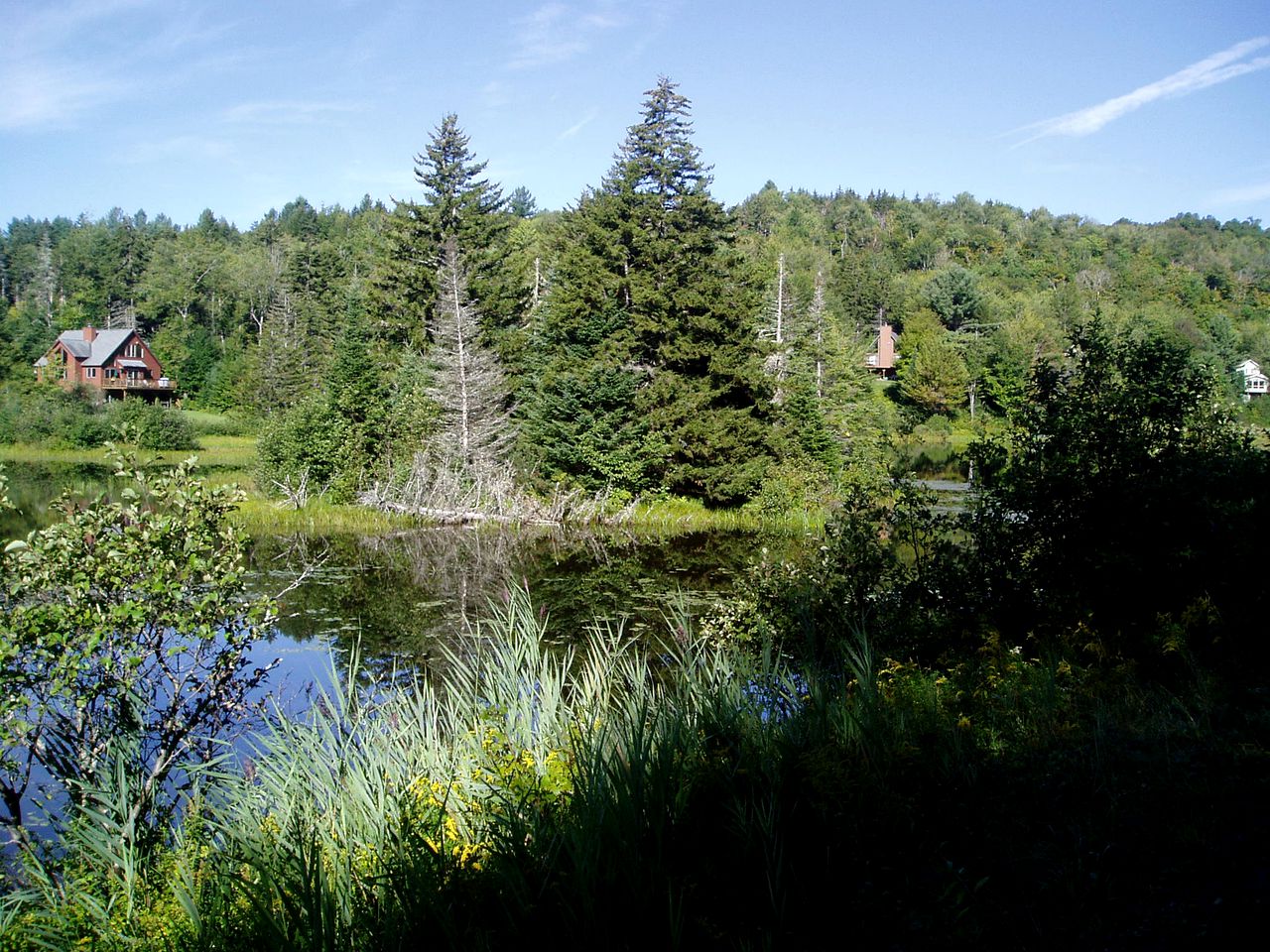 Enormous Cabin Rental Overlooking Spruce Lake in Wilmington, Vermont