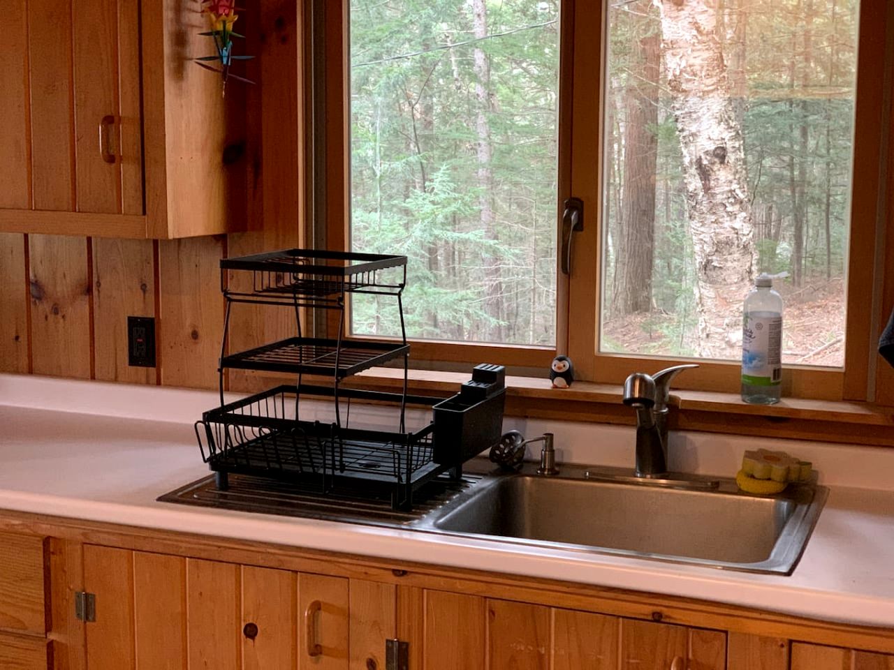 Enormous Lake Cabin Ideal for Large Groups in Maine